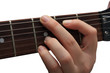 Guitarist