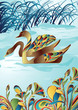 Swan
