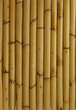 Foto: Textur-Serie: Bambus Textur-Serie: Bambus