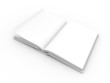 Offenes Buch Offenes Buch