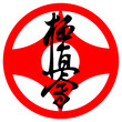Fighting arts-KARATE kyokushinkai SIMBOL KANKU Fighting arts-KARATE kyokushinkai SIMBOL KANKU
