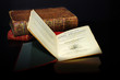 spot light on a  rhymes dictionary, dictionnaire des rimes