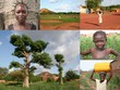 souvenirs d'Afrique
