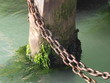Muelle de madera