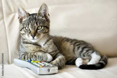 Foto: ... and today I'm the boss! ... and today I'm the boss!