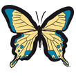 farfalla