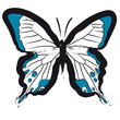 farfalla