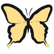 farfalla