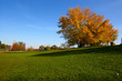 Le stagioni: autunno