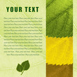 Template with Leaves Texture and Editable Text Fields