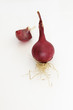 rote Zwiebel