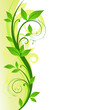 Nature background