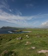 Halbinsal Dingle in Irland, Panorama