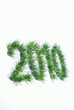 2010, année de l'environnement