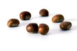 Castagne