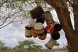 Afrikanische Buschtrommeln Afrikanische Buschtrommeln
