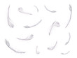 floating feathers