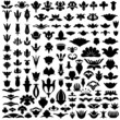 Floral silhouettes and elements of patterns