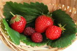 Panier rouge