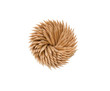 Photo: Toothpicks Toothpicks