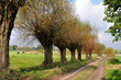 Foto: Polish Landscape Polish Landscape