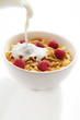cornflakes breakfast desayuno
