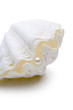 Muschel mit Perle