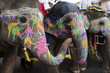 Gangaur Festival-Jaipur