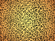 Seamless skin fur print pattern leopard