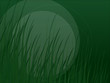 grüne wiese