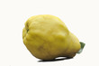 Obst