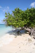 Cayo Levantado - The Bacardi Island