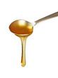 Honey Drip From Spoon Honey Drip From Spoon