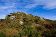 view of a small mountain in brittany