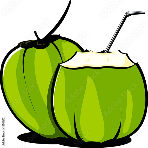 Illustration: Illustration of tender coconuts and straw Illustration of tender coconuts and straw