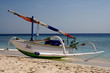Bali Tropical Island