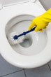 Foto: Clean up your house Clean up your house
