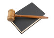 Judge's gavel legal book isolated on white