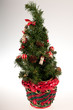 Abeto de Navidad con maceta roja