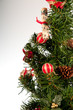 Abeto de Navidad