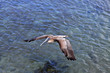 Flying Hunter 2
