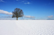 Jahreszeit Winter