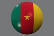 wm 2010 fußball weltmeisterschaft nation kamerun wm 2010 fußball weltmeisterschaft nation kamerun