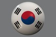 wm 2010 fußball weltmeisterschaft nation südkorea wm 2010 fußball weltmeisterschaft nation südkorea