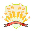 wheat and pasta or cereals logo template