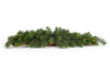 fir tree natural background - christmas