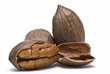 Varias nueces. Varias nueces.