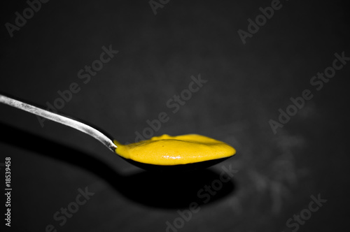 Photo: Mustard Mustard