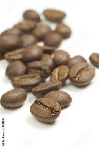 Foto: coffee beans coffee beans