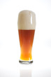 Beer glass with beer in backlight